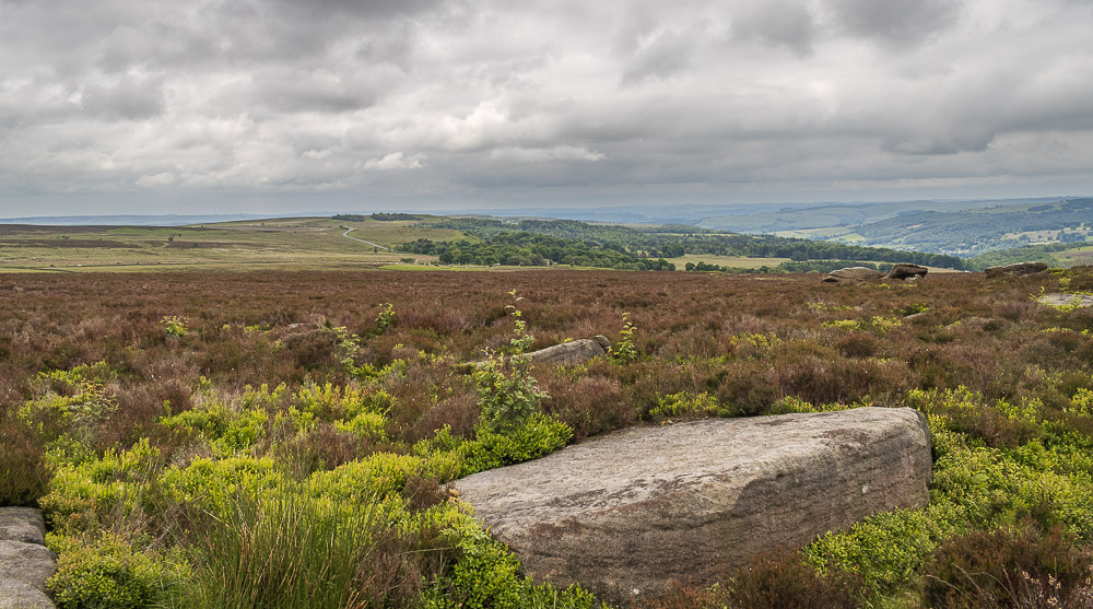 Totley Moss